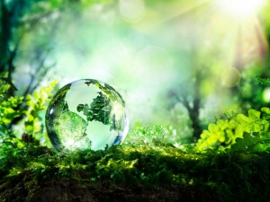 Usa globe resting in a forest - environment concept