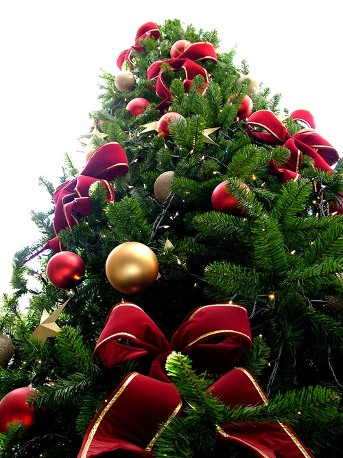 Klimatet, julgranar och julklappar