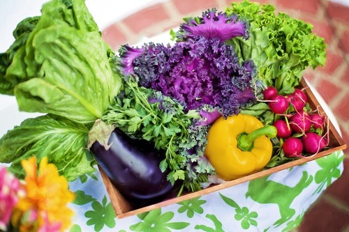 Odla miljövänligt